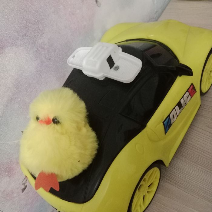 Машина +(подарок) цыплёнок