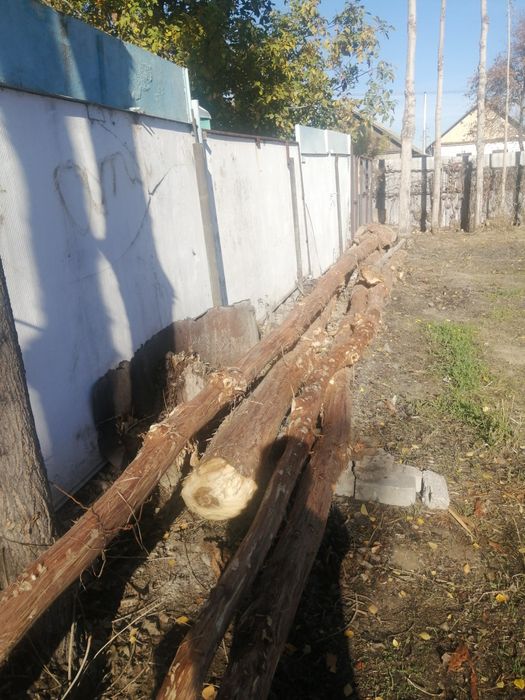 Терек 6метір 8метір