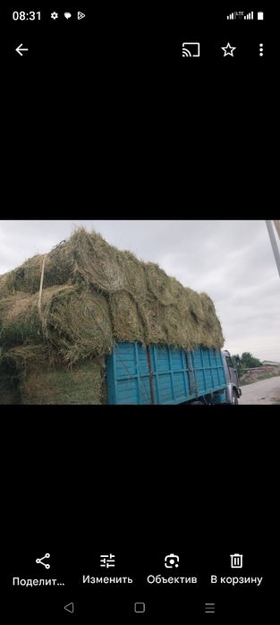 Сено жоношка урлон сатамын свежый укос жоношка люцерна сатамын жоношка