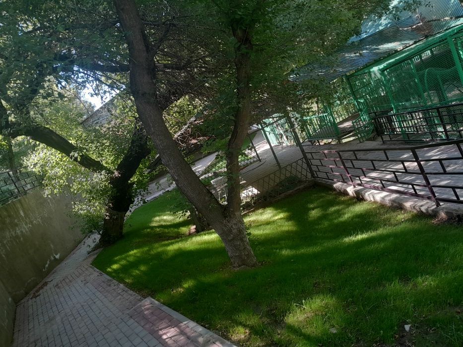 Газон Автополив жасаймыз.