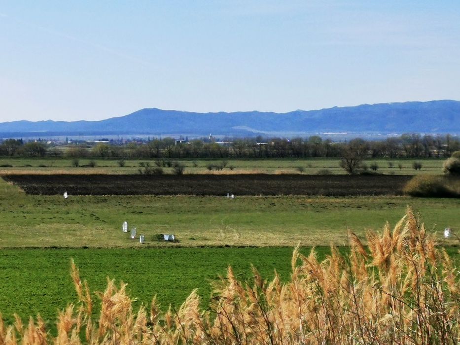 Oportunitate Teren 7.000 mp Bod, PUZ în curs de finalizare