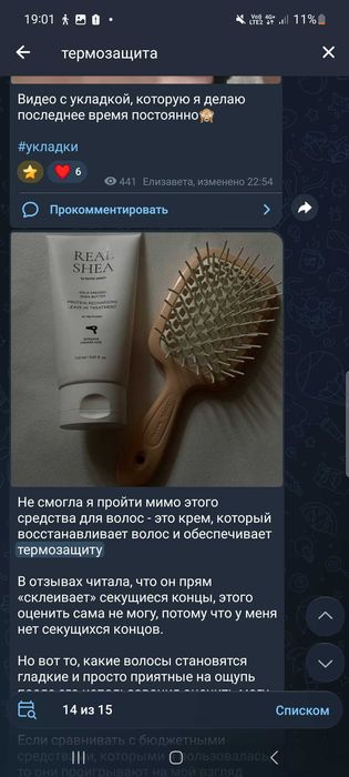 Ласковый домашний котик