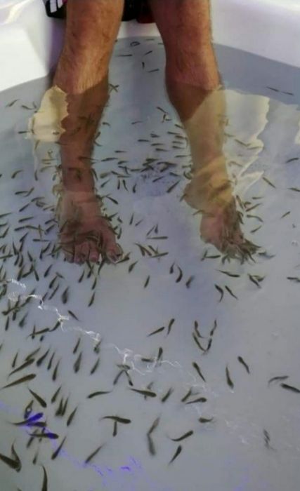 Рибки Гара Руфа Фиш Спа