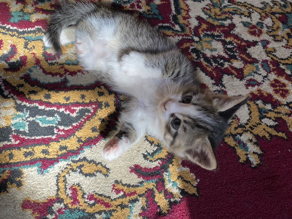 Kimga kerak bo’lsa murojat qilishingiz mumkin