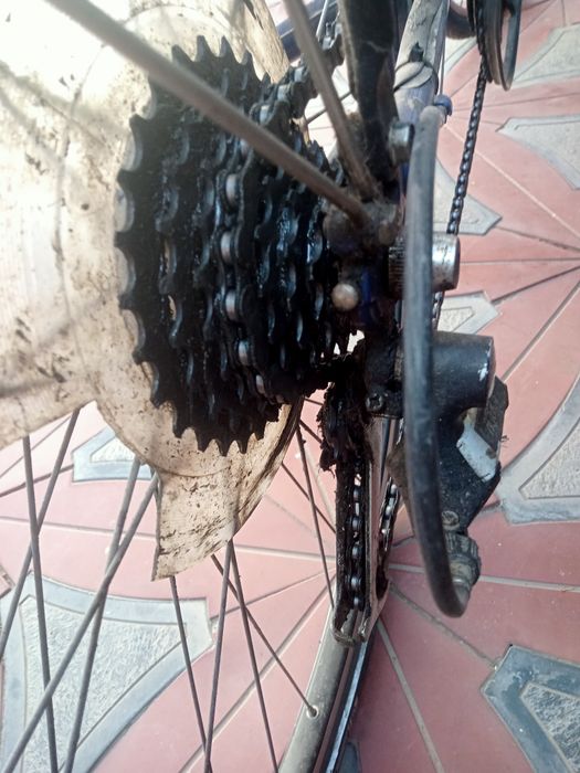 Velosiped Germaniya