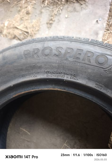 Prospero 195.  65.   15.