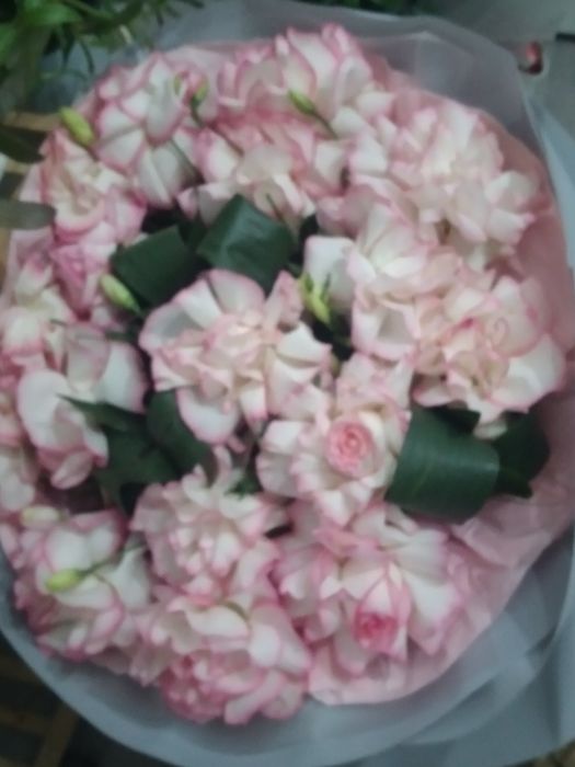 Рул сатылады свежи