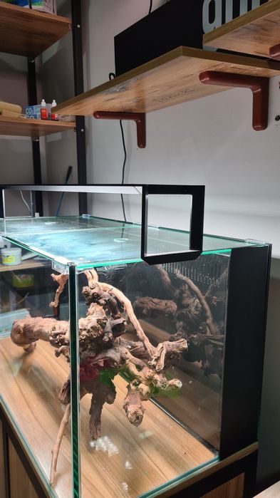 WRGB Светильникиl травник