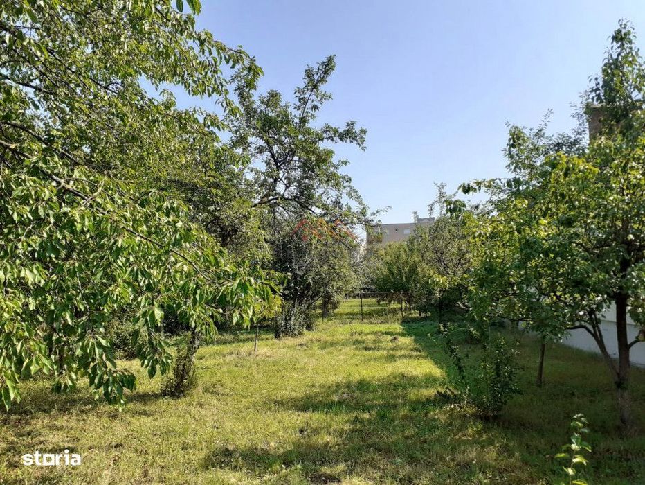 Casa 3 camere, teren 3625 mp, toate utilitatile, Sacele, Brasov