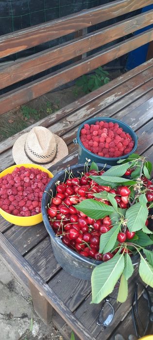 Livadă mixtă de vânzare