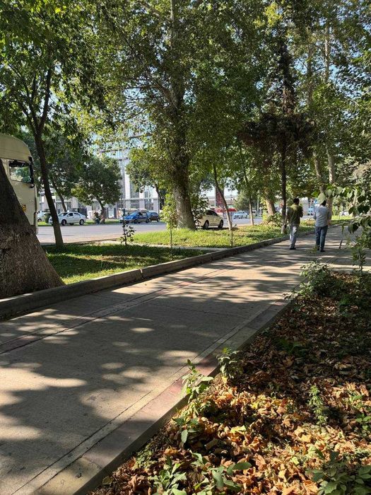 СРОЧНО ! Продается нежылая помешения в Яшнабаде (30 кв/м) Авиасозлар 4