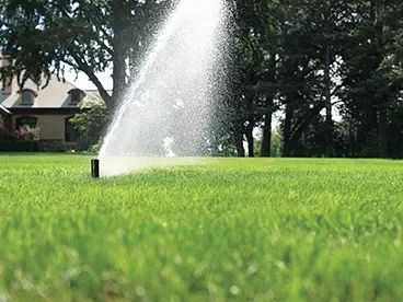 Автополив hunter