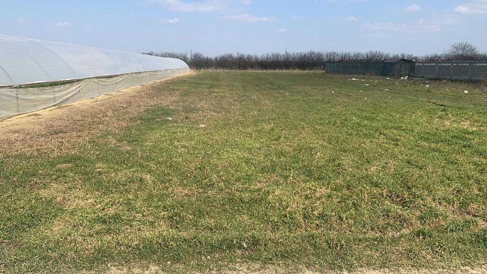 Teren 1.055 mp cu 2 deschideri Dumitrana Măgurele Utilități, Merita Vazut!