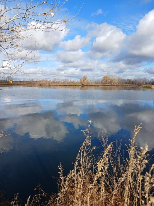 Дача, р-н Телецентр, с/о Кристалл