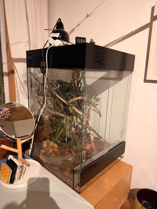 Терариум, използван много кратко 45/55