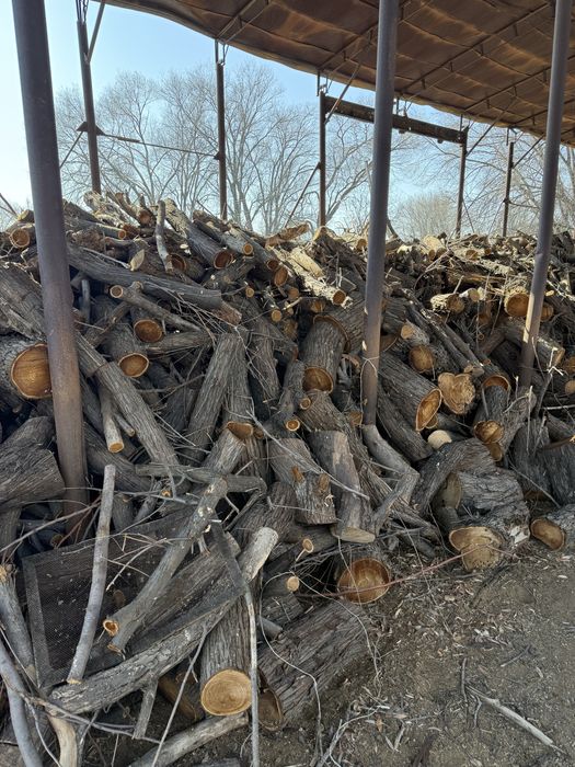 Продам дрова джигиды