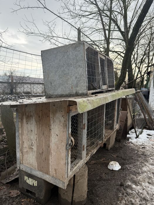 Vand cuști pentru iepuri