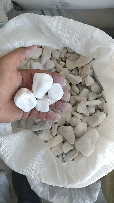 Натурални декоративни галка