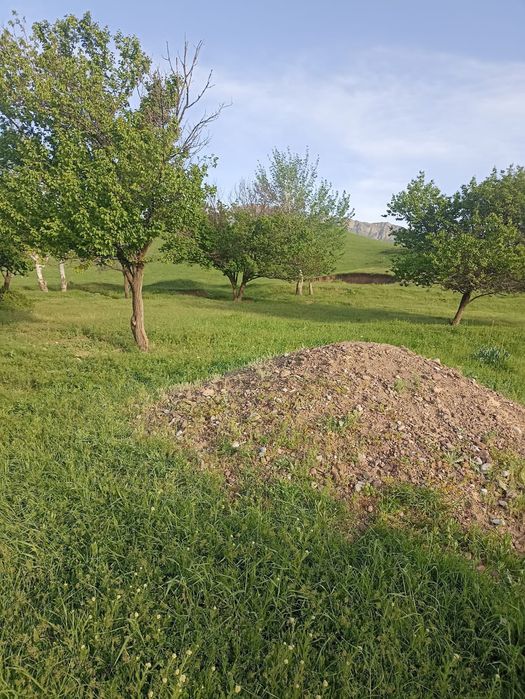 Земля 25 соток..