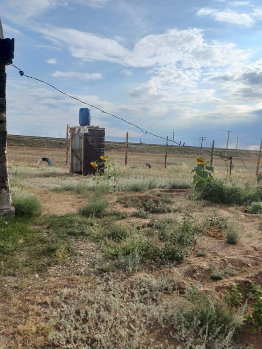 Продам кошару 360.0 кв.м.