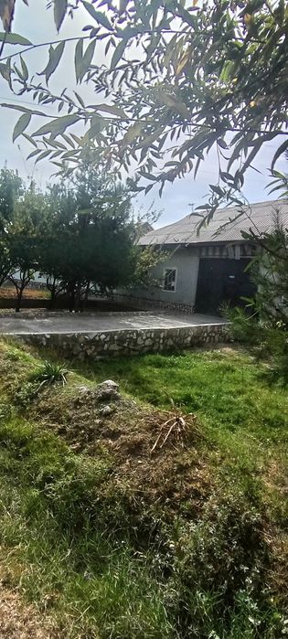 Ховли сотилади 300 миллионга!