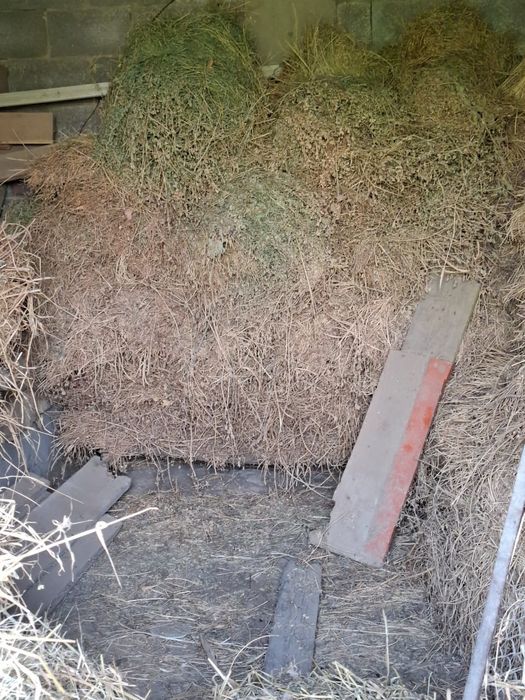 Жоңышқа сатылады