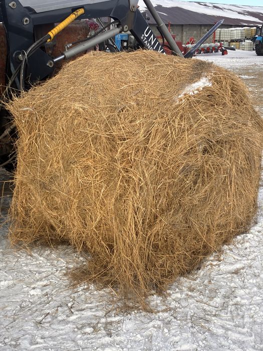 Продам сена рулон