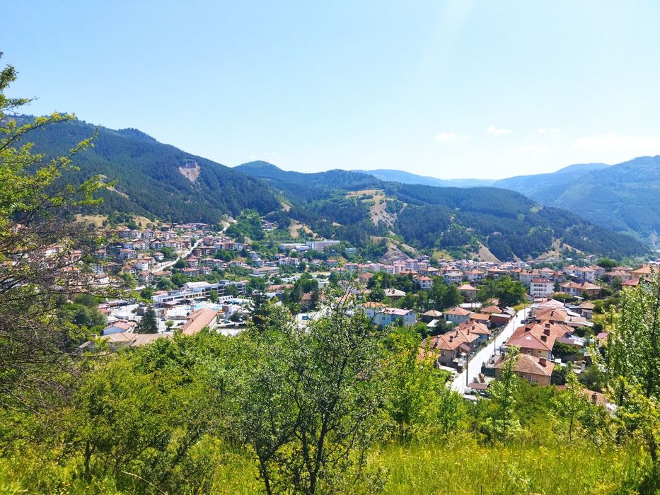 Продава се Парцел в Девин - 6627 кв.м за 61 €/кв.м - Снимка #3