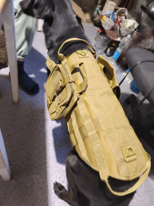 Тактическая шлейка для собак