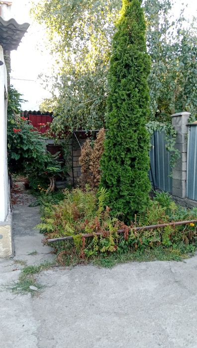 Продам дом в красный восток