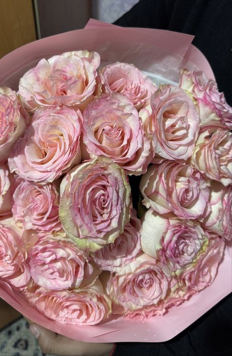 Продаю цветы свежый))