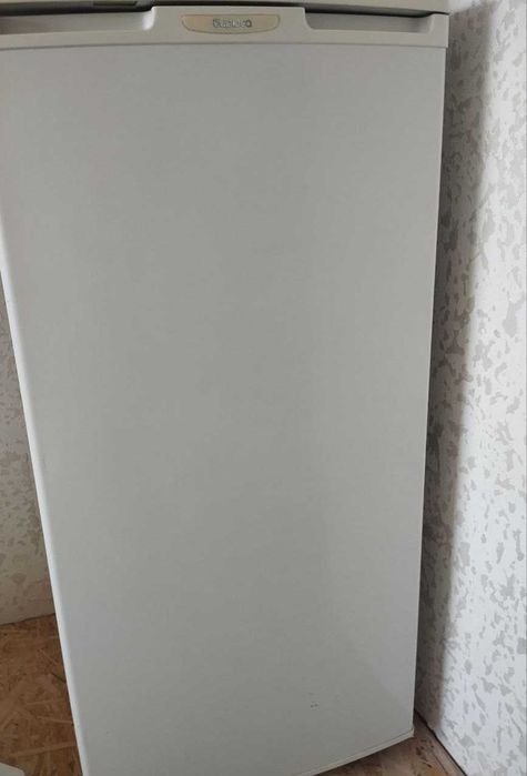 Холодильник «Бирюса»