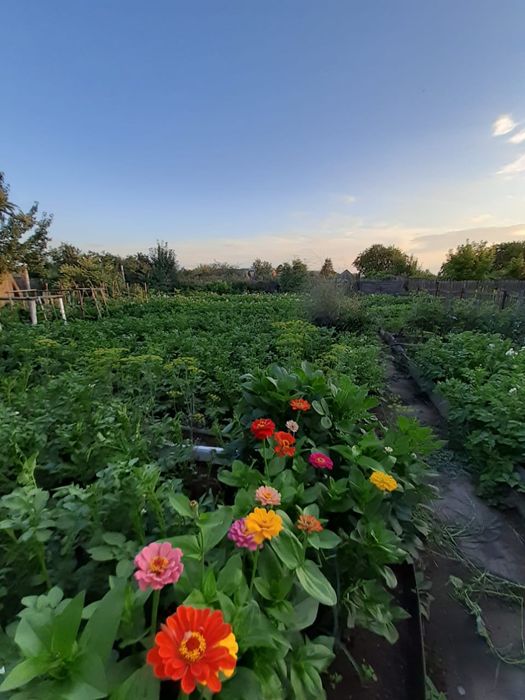 Дача в черте города