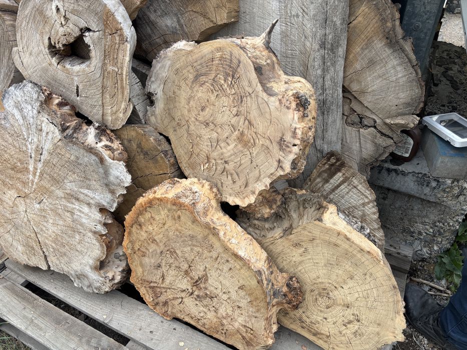 Карагач спилы разные размеры