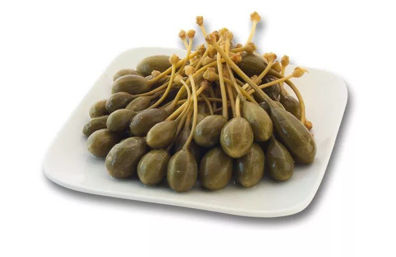 Cappers tayor maxsulot !!