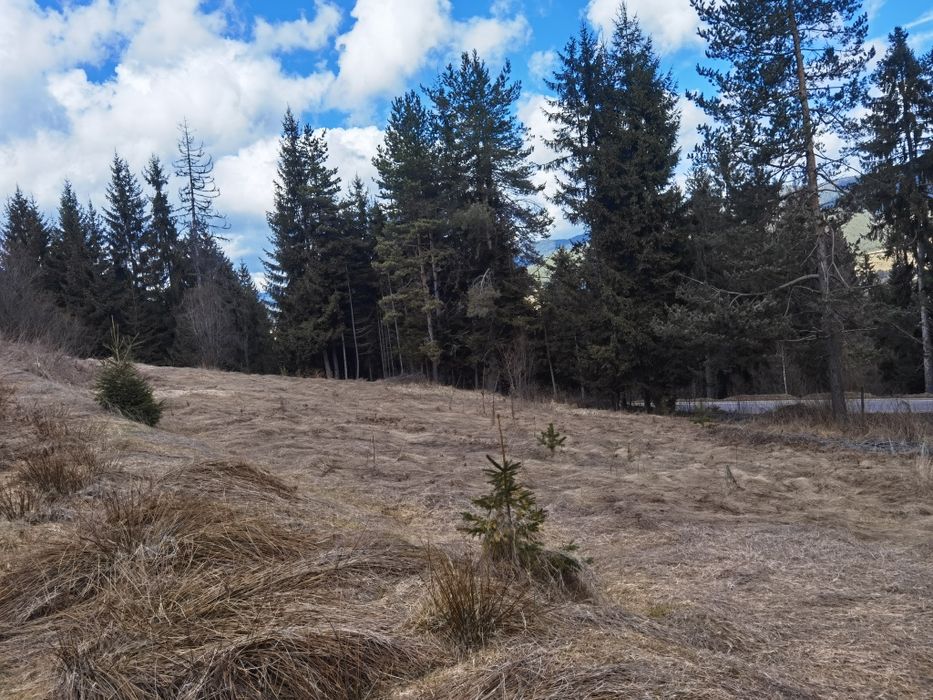 Продава се Земеделски имот в Сърница -  кв.м за 45 €/дка - Снимка #2