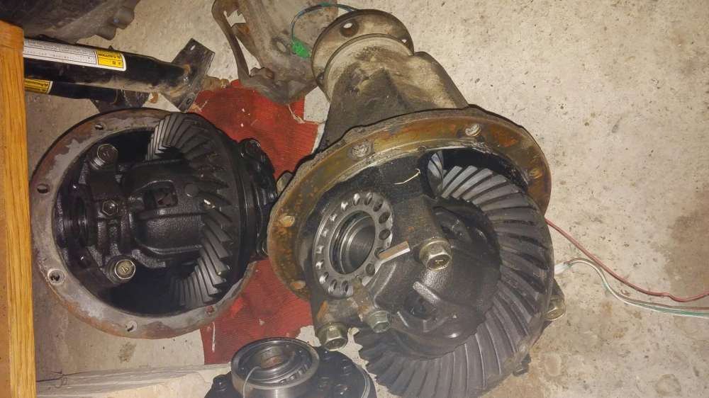 Grup fata vitara si spate