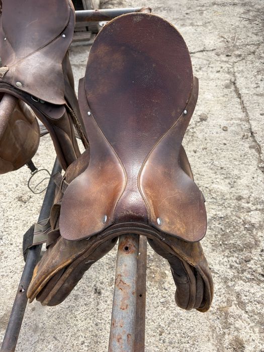 De vânzare, şei de echitație!