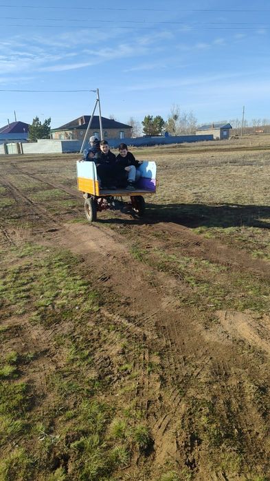 Продам муровей тула