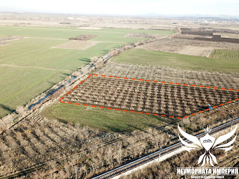 Продавам черешова градина 5800кв.м. в гр.Асеновград