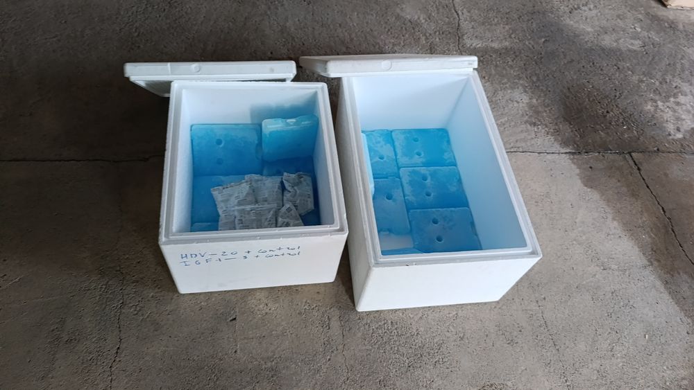 Аккумулятор холода гелевый