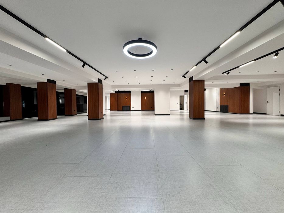 Коммерческое помещение в Центре 913 м2
