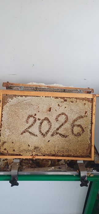 MIERE DE MAI 2026 DIRECT Producator