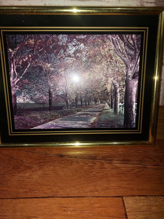 Продам картины..