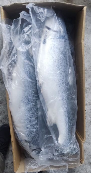 Лосось (Семга) Премиум качество (8+кг) Норвегия