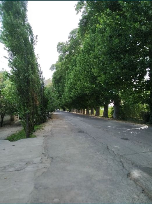 Уй сотилади, Қибрай, Ботаника санатория,Оқ қовоқ МФЙ