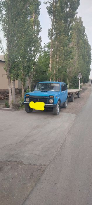 Niva sotiladi xolati yaxshi kelishamiz