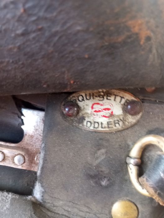 Sașa de călărie adusa recent din Germania