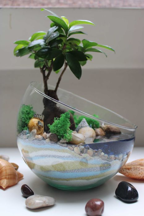 Флорариум с бонсай - подарък за рожден ден и др поводи