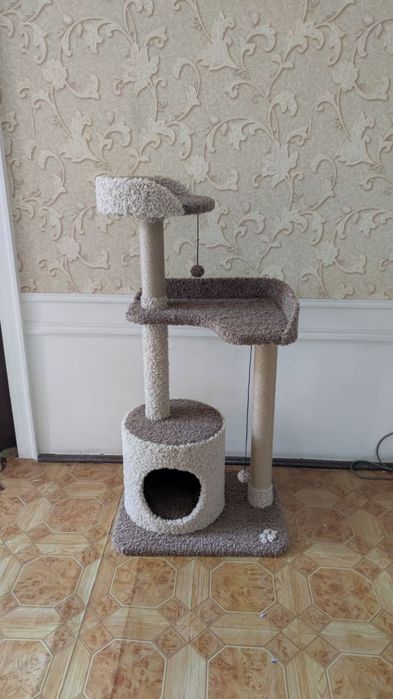 Когтеточка кошачья. Домик удобный. Есть выбор